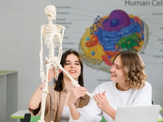 Trükkös biológia kvíz: te mennyit tudsz az emberi testről?