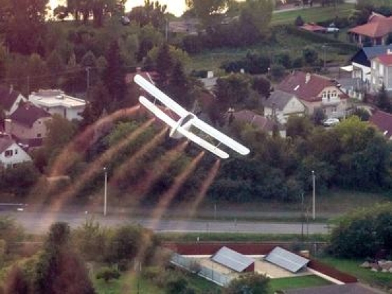 Riasztást adtak ki a kutatók: elképesztő rovarroham csap le a Balatonra augusztus közepén!