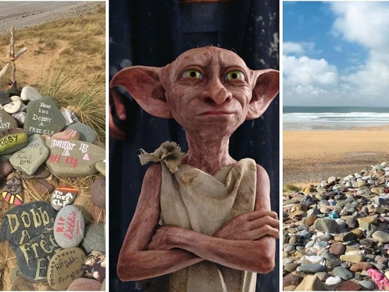 A Harry Potter-rajongók kényszerítik a többmilliós csővezeték-projekt kábeleltérítését, hogy megvédjék Dobby „sírját”