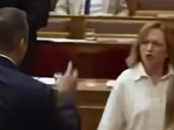 A Tisza frakcióvezetője kiabálva kérte számon Toroczkai Lászlóékat az ülés szünetében