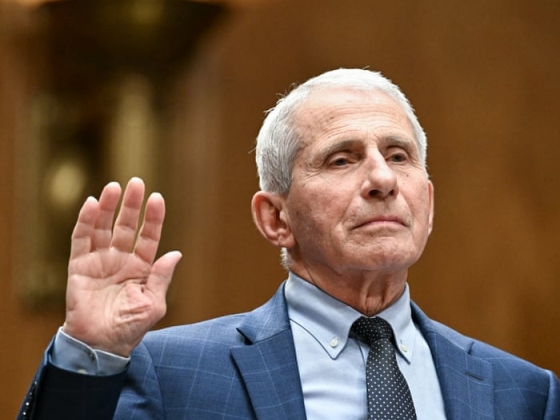 Dr. Fauci hibázott. De az üldöztetése paresztia | Margaret Sullivan