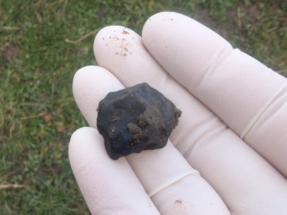 Repülési útvonalak és hűtőmágnesek: hogyan bukkant rá egy tűzgolyóvadász Új-Zéland legújabb meteoritjára