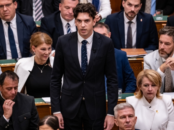 Felfüggesztették az egyik tiszás képviselő mentelmi jogát, elismerte, hogy hibázott