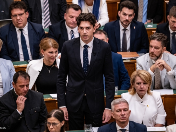 Felfüggesztették az egyik tiszás képviselő mentelmi jogát, elismerte, hogy hibázott