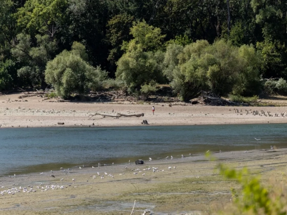 Csökken a Duna vízszintje a következő napokban, és alacsony is marad
