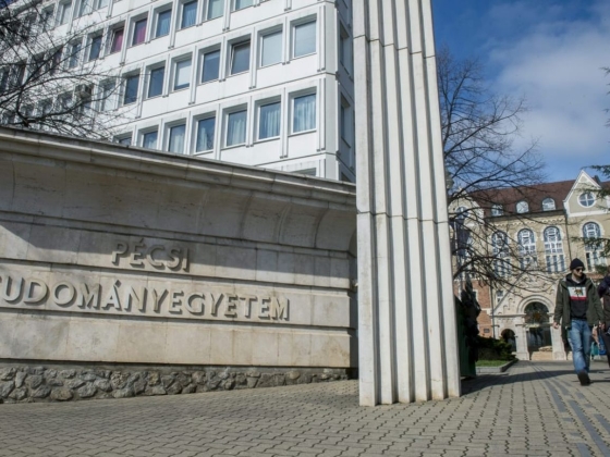 Érdemtelenül szereztek doktori fokozatot fideszes és KDNP-s politikusok a PTE egyik oktatója szerint, az egyetem vizsgálatot folytat