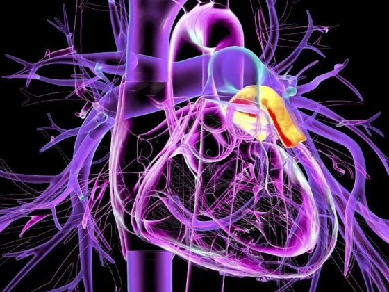 Stroke-ot kapott a négyéves kislány, az orvosok szerint egy gyakori betegség állhat a háttérben