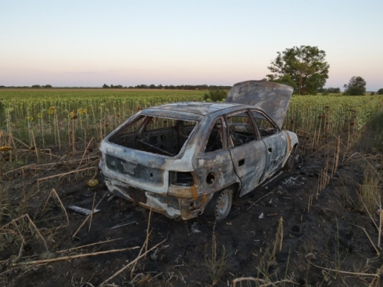 Autóval menekült a rendőrök elől egy férfi a Velencei-tónál, aztán jött a napraforgótábla