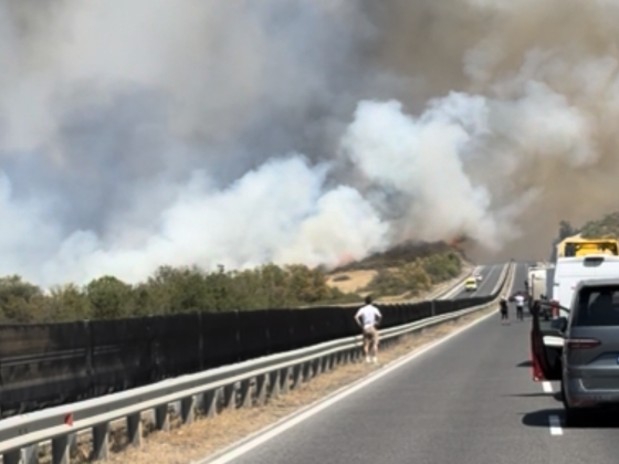 Hatalmas a füst Öskü és Hajmáskér határában a 8-as főút mellett