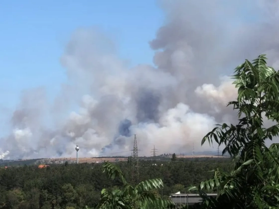 Óriási avartűz miatt bénult meg a közlekedés Veszprém környékén, lezárták a 8-as főutat - videó
