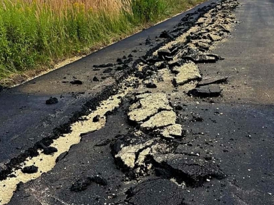 Véletlen vagy szándék?: ​​Ki „szánt fel” egy új utat?
