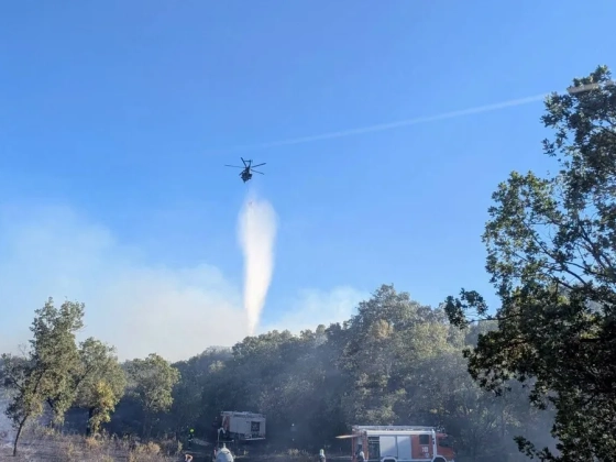 Elszabadultak a lángok Veszprém vármegyében, helikopterekkel oltották az erdőtüzet – videó