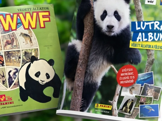 Matricacserék újratöltve: 37 év után visszatér a WWF Lutra album