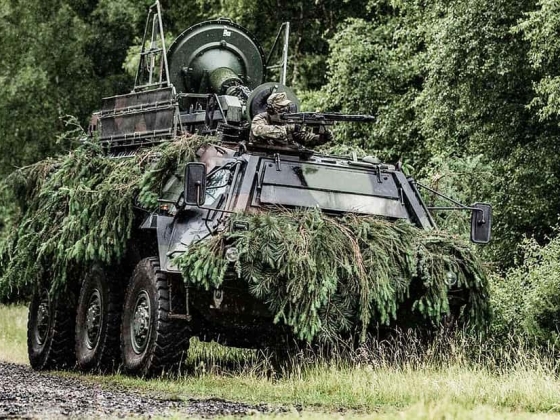 Fox 6x6 vagy Piranha 8x8: Ki vezeti a Hornetet a jövőben?