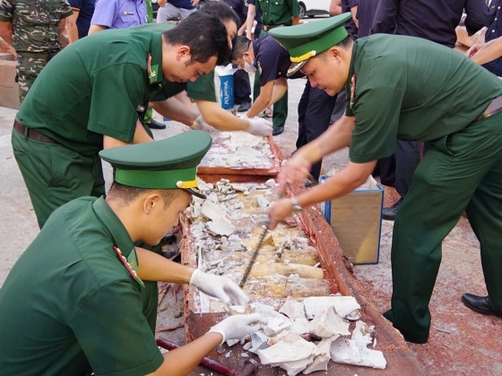 Vietnam több mint egy tonna rejtett elefántcsontot fedez fel, amelyet illegálisan szállítottak Afrikából