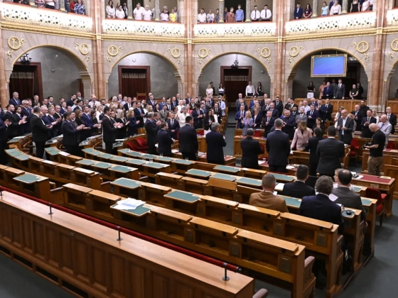 A Pink Túzok a kasszához járult, a Tisza közeli cég milliókért közvetítette az Országgyűlés alakuló ülését