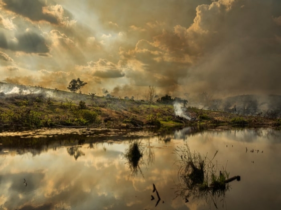 Az El Niño a legrosszabbkor tetőzhet az Amazonas számára – és ez mindannyiunkat aggaszt