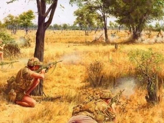 Mennyire ismeri Afrika egyik legkeményebb gerillaháborúját, a rodéziai bozótháborút?