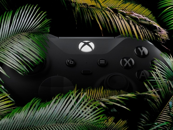 Vadonatúj kiszivárgott Xbox-kontroller a vadonban