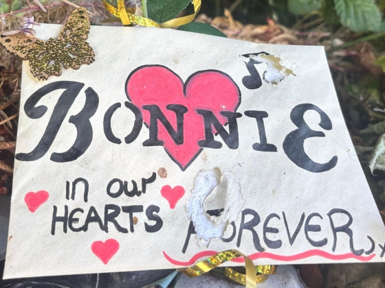 Bonnie Tyler rajongói úgy állnak az utcákon, mint egy koporsót, amelyet Swansea otthonába vittek