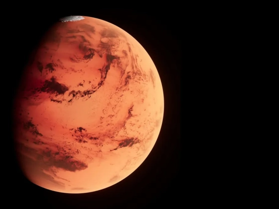 Rejtélyes lényt szúrt ki a NASA a Mars felszínén, beindultak a találgatások