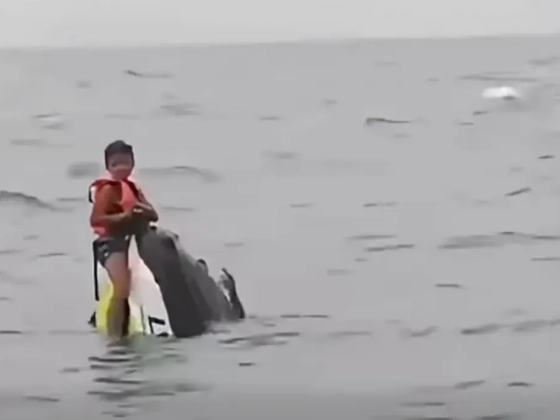 16 órán át kapaszkodott a felborult jet-skibe két kisfiával a nyílt vízen egy apa Thaiföld partjainál