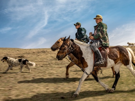 A mongol sztyeppek tűzoltói: az éghajlati válság az ősi tudás újjáélesztését ösztönzi – fotóesszé