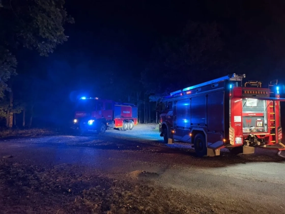 Közel 70 tűzoltó oltotta ki a magyarországi erdőtüzet villanyvezeték-kiesés után