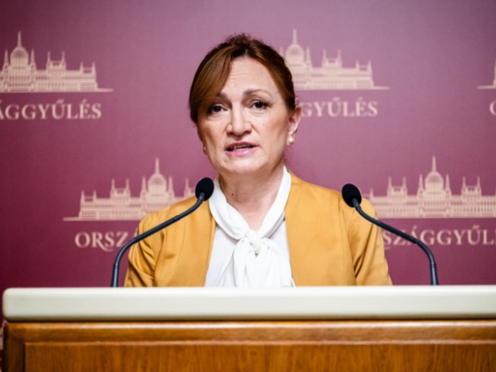 Újabb részleteket osztott meg Bujdosó Andrea a Zsámbéki-medencét érintő vízhiányról
