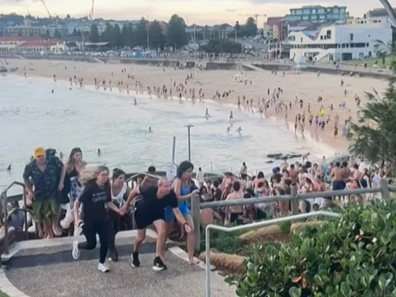 Pénzért vásárolja vissza a fegyvereket egy ausztrál állam a Bondi Beachen történt terrortámadás után
