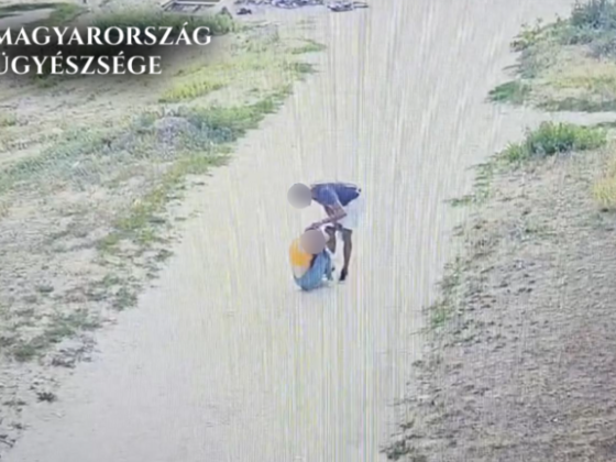 Hajánál fogva rántotta a földre és verte volt barátnőjét egy kistarcsai férfi ötezer forintért