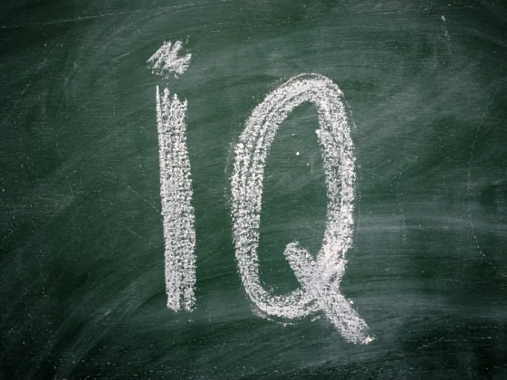 Ez a 3 kérdés még a harvardi diákokat is megizzasztja: íme a világ legrövidebb IQ-tesztje