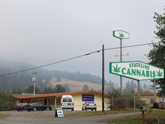 Mi védi jobban a kamaszokat a kannabisztól: a tiltás vagy a szabályozás?