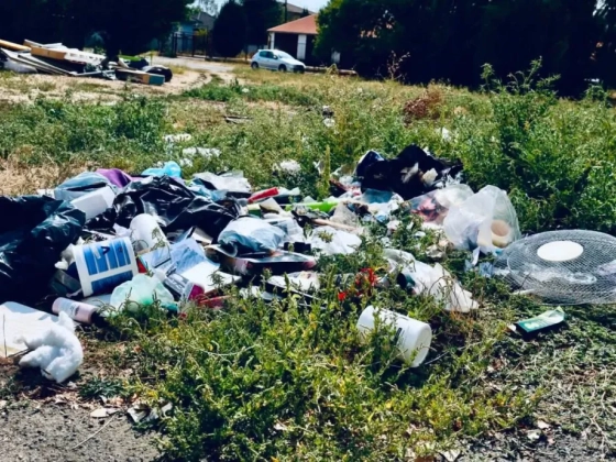 A Mohu szerint nem hibáztak Szolnokon, az önkormányzati tulajdonban lévő hulladékgazdálkodónak kellene elszállítani a szemetet