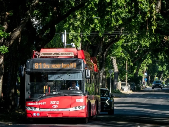 Meghosszabbított útvonalon jár a 81-es troli augusztus végétől