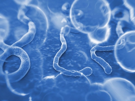 Most robbanhat be a halálos járvány: gyorsan terjed a kórokozó, de sztrájkba léptek az ebola elleni harc kulcsszereplői – három hónapja nem kaptak fizetést egy kormánydöntés miatt