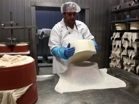 Ragadós száj- és körömfájás: A Leszboszi sajttilalmat feloldották a turisztikai szezonban