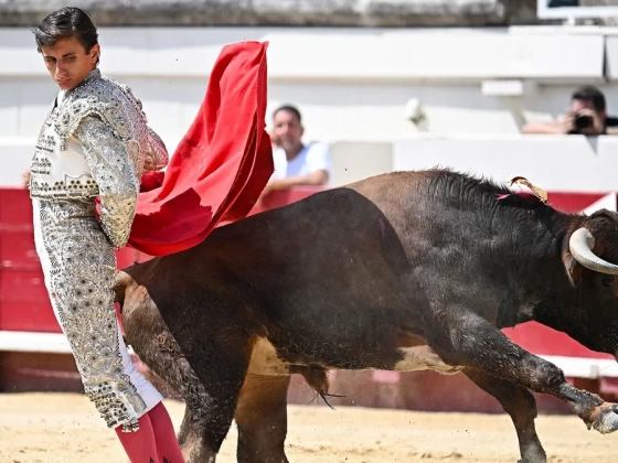 Már átgázolt rajta egy bika, élete egyik legnagyobb viadalára készül a 20 éves francia sztármatador - galéria