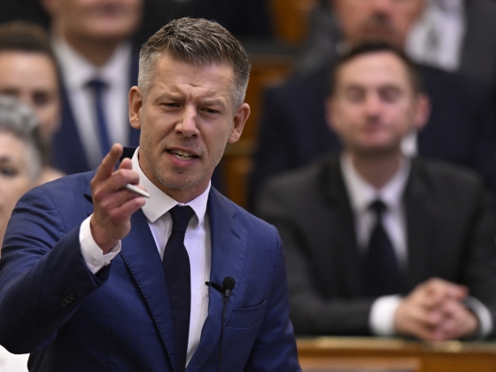 Magyar Péter felszólította azokat a civileket, akik jogosulatlanul vettek fel állami támogatást, hogy azonnal fizessék vissza