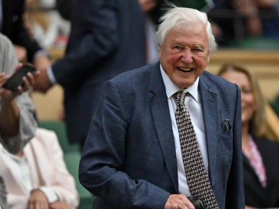 Bíróságra megy Sir David Attenborough operatőre, baleset érte