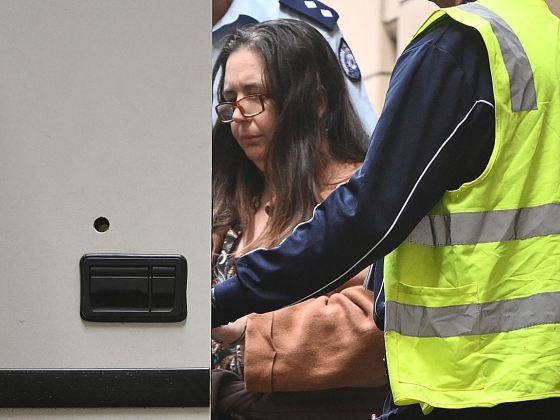 Az ausztrál gombagyilkos Erin Patterson ügyvédei az esküdtszéki szabálytalanságokra mutatnak rá a fellebbezés során