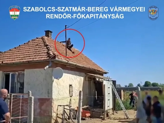 Tetőre menekült a rendőrök elől a baktalórántházi tolvaj – videó