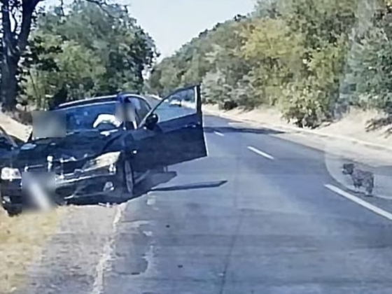 Nagy hibákat követett el a BMW-s, azonnal súlyos árat fizetett érte + videó