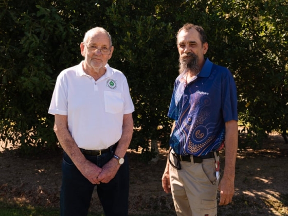 Could the macadamias hidden in Queensland’s rainforests be the key to saving ‘the world’s finest nut’?