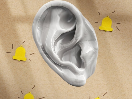 I’d heard ringing in my ears before. This time, it didn’t stop