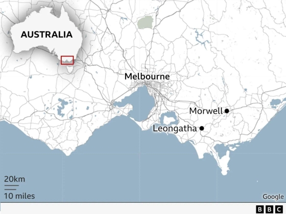 The hotel booking mix-up that could free mushroom murderer