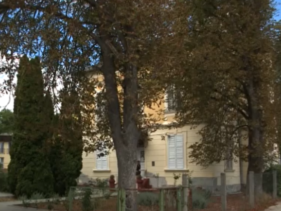 Többször felpofoztak egy kislányt egy hőgyészi gyermekotthonban, videóra vették a bántalmazást