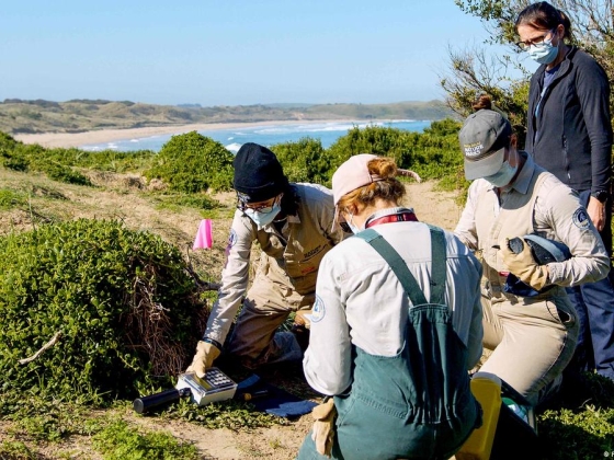 Australia confirms H5N1 bird flu case in local mammal