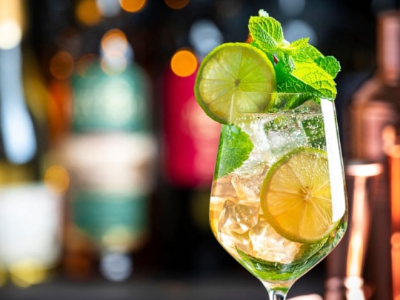 Quench your thirst! 20 perfect spritzes and shandies to try now – from kumquat to portergaff