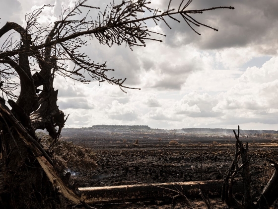 Extreme weather hits Europe as wildfires, floods and storms force thousands to evacuate